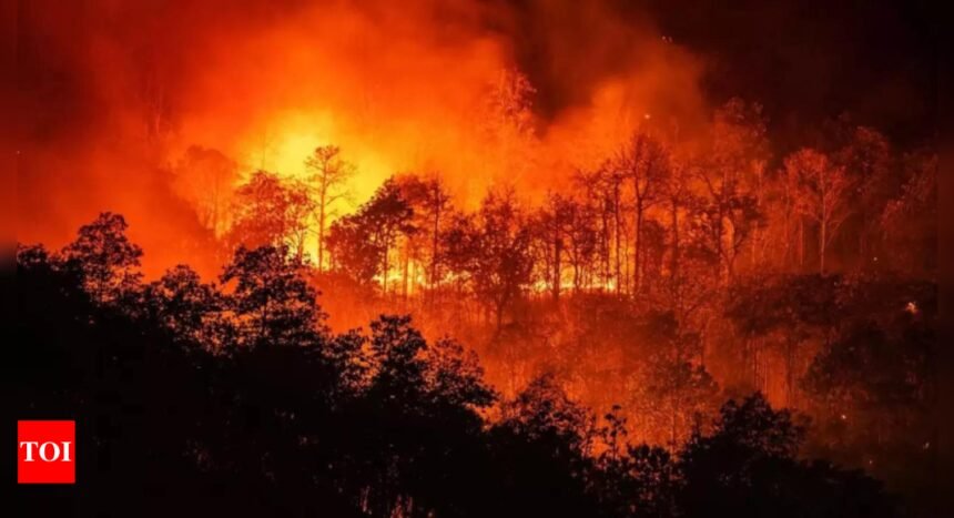 LA wildfires: Music mega stars to perform at FireAid to raise funds for relief efforts