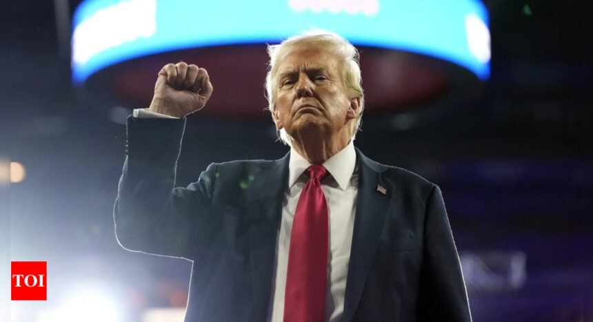 Left out in the cold, MAGA fumes at tech elites surrounding Trump