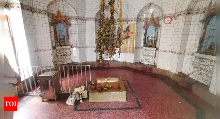 'Mahabharata era' Shivling vandalised at Unnao temple, man arrested | India News