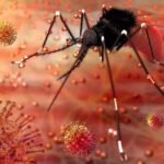 Maharashtra Dominates Zika Virus Cases in India with 140 Reported in 2024, Warns WHO | Mumbai News