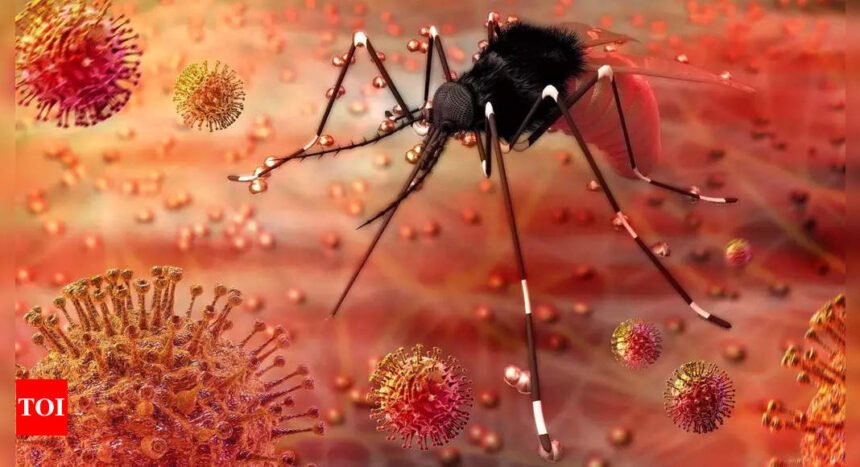 Maharashtra Dominates Zika Virus Cases in India with 140 Reported in 2024, Warns WHO | Mumbai News