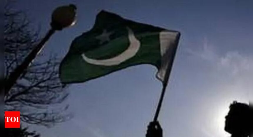 Pakistan returns Indian Army chief's salvo, terms terror charge 'extreme duplicity'