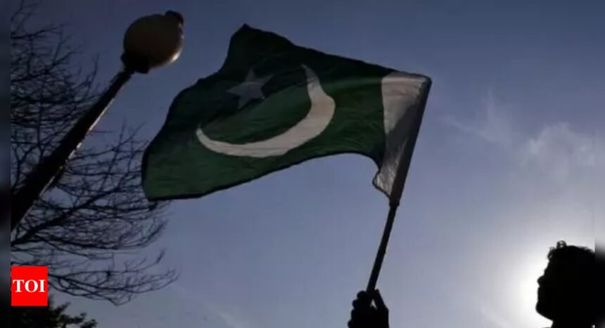 Pakistan’s parliament places curbs on social media