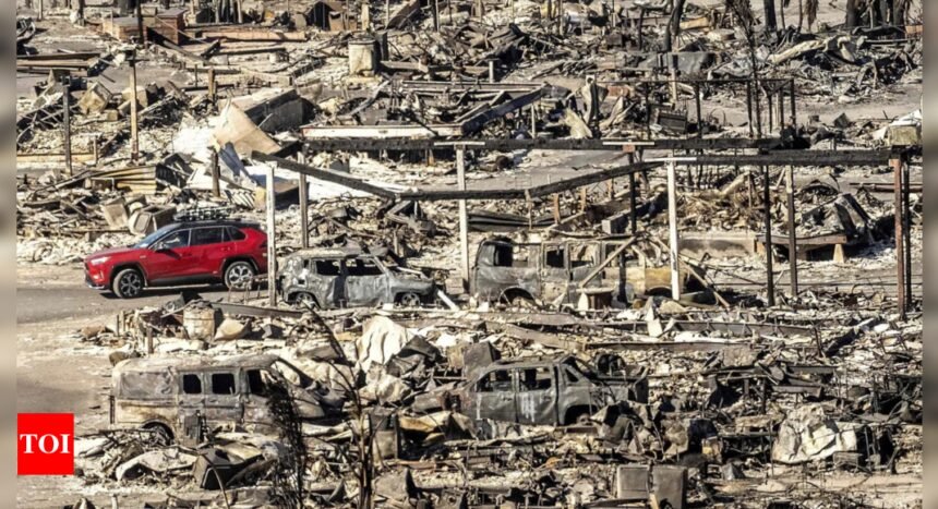 Palisades Fire Cause: Palisades Fire possibly has human origins, someone started it accidentally: Investigators
