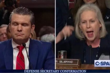 Pete Hegseth Confirmation Hearing: The best memes and jokes | World News