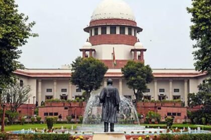 Supreme Court slams 'cruel' father: 'What’s the difference between animal and a man?’ | India News