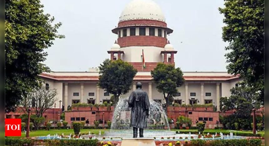 Supreme Court slams 'cruel' father: 'What’s the difference between animal and a man?’ | India News