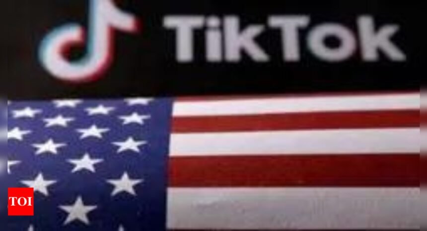 TikTok officially suspends services in US as federal ban takes effect