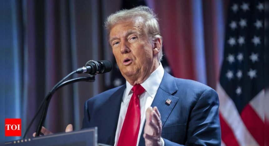 Trump administration prepares for nationwide arrests of undocumented immigrants from next week: Border official