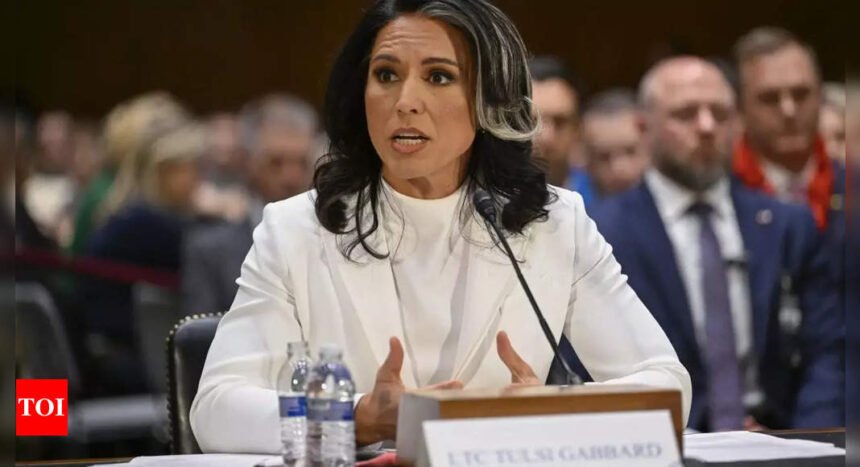 Tulsi Gabbard confirmation hearing: Trump's pick backtracks on pardoning 'brave' Snowden