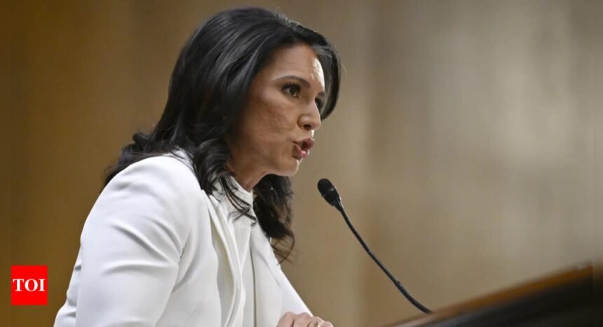 Tulsi Gabbard hits back at Democrats over ‘Putin, Modi puppet’ charge in sharp rebuttal | World News