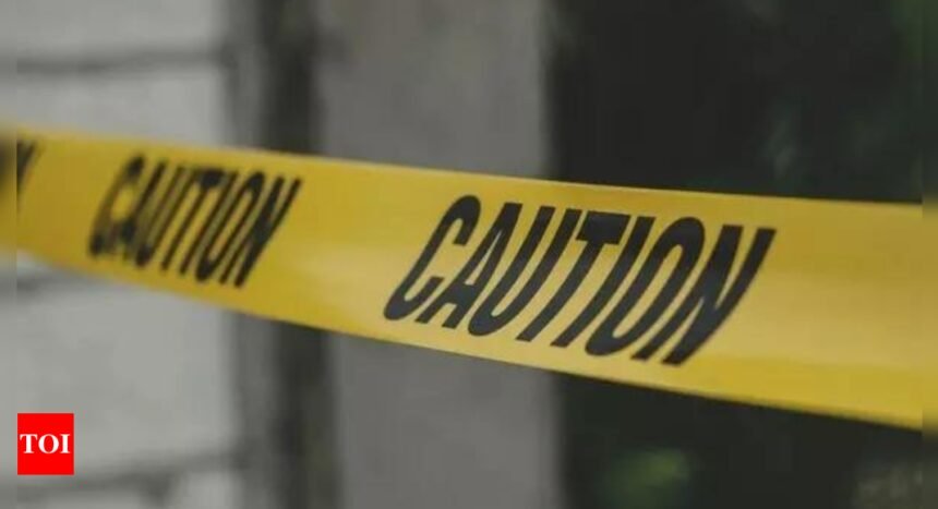 US: At least 10 dead, 30 injured as vehicle hits crowd in New Orleans