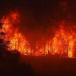 US wildfire: 30,000 ordered to evacuate as blaze rages through Los Angeles hillsides