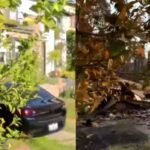 Watch: Before and after videos of Pacific Palisades show trail of destruction caused by California wildfire