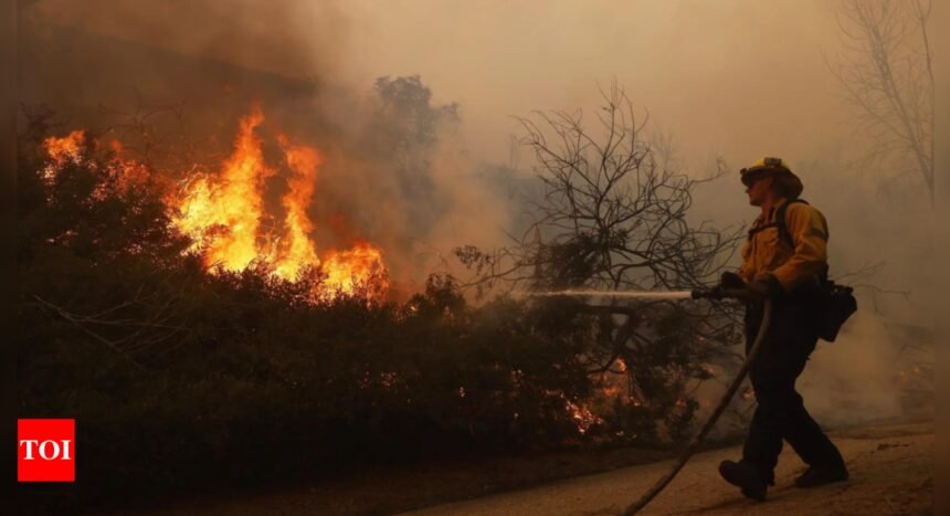 What triggered the wildfire in Los Angeles?
