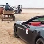 'When horsepower fails': How a bullock cart saved Ferrari stuck on Raigad beach | Mumbai News