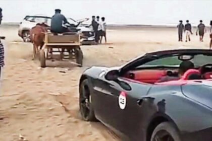 'When horsepower fails': How a bullock cart saved Ferrari stuck on Raigad beach | Mumbai News