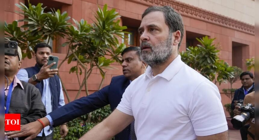 'Won't see any Dalit with FM tomorrow': Rahul Gandhi slams Centre ahead of Union Budget | India News