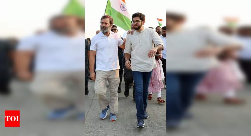 Aaditya meets Rahul & Kejri, raises ‘EVM fraud’ | Mumbai News
