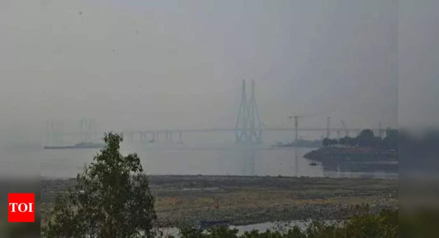 After brief cool spell, weekend temp set to rise | Mumbai News