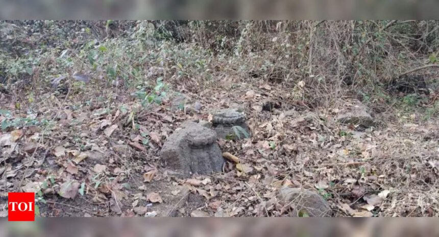 Ancient artefact found at Aarey, sparks call to protect temple site | Mumbai News