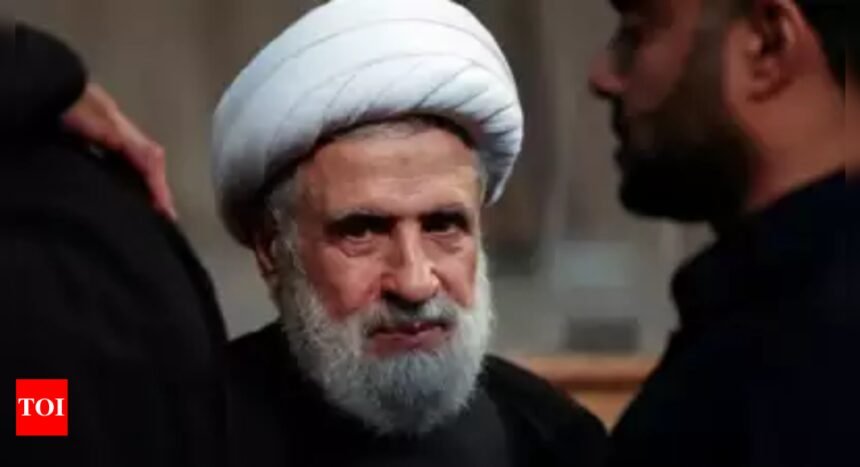 Ayatollah Ali Khamenei: Iran's Khamenei names Hezbollah leader as Lebanon 'representative' | World News