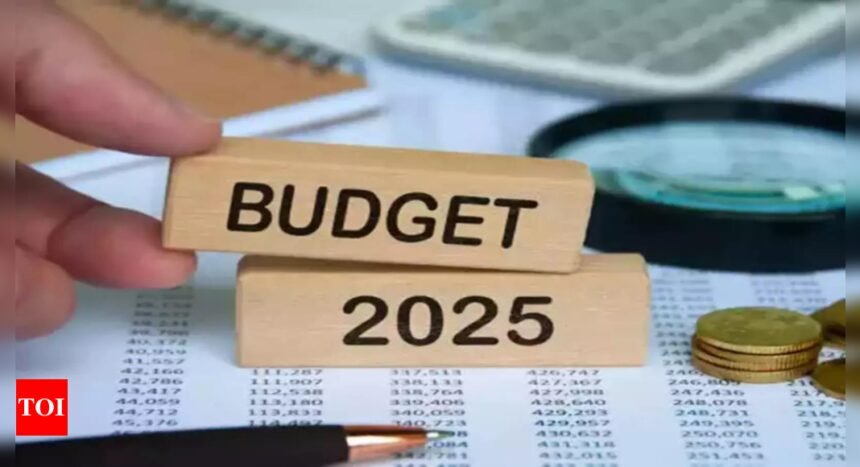 BMC budget may spur current projects, new big plans unlikely | Mumbai News