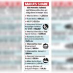CM: Dream budget for middle class, state will benefit | Mumbai News