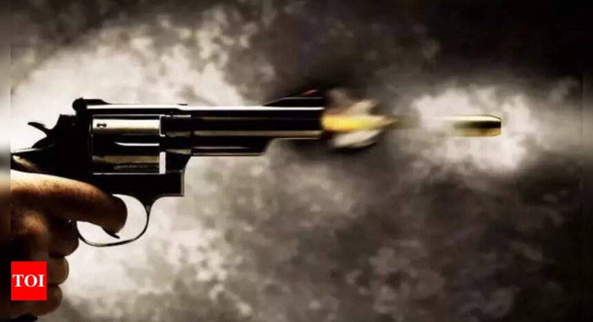 CRPF jawan opens fire, kills 2 colleagues before shooting self in Manipur | India News