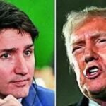 Canada also gets 30-day tariff reprieve after fentanyl pledges