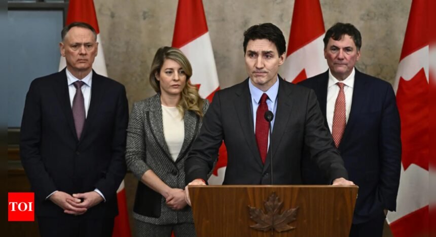 'Canadian rye over Kentucky bourbon, stay in Canada for vacation': Trudeau's appeal after Trump imposes tariffs