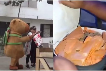 Capybara in line of duty: Cops in costumes makes Peruvian drugs bust, seizes 1700 packages of cocaine