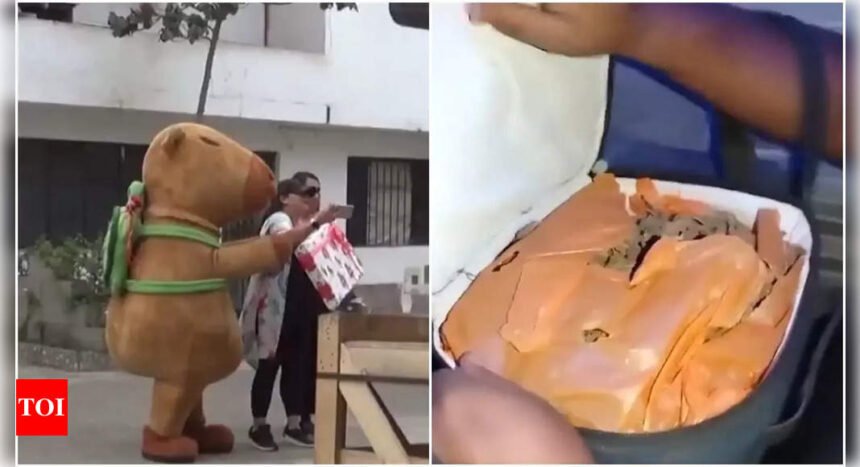 Capybara in line of duty: Cops in costumes makes Peruvian drugs bust, seizes 1700 packages of cocaine