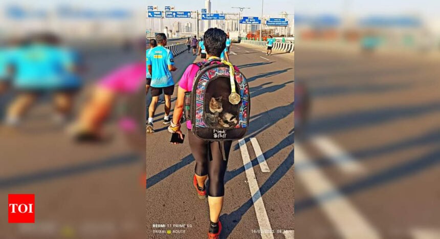 Catcall: ‘Setu’ fittingly returns | Mumbai News