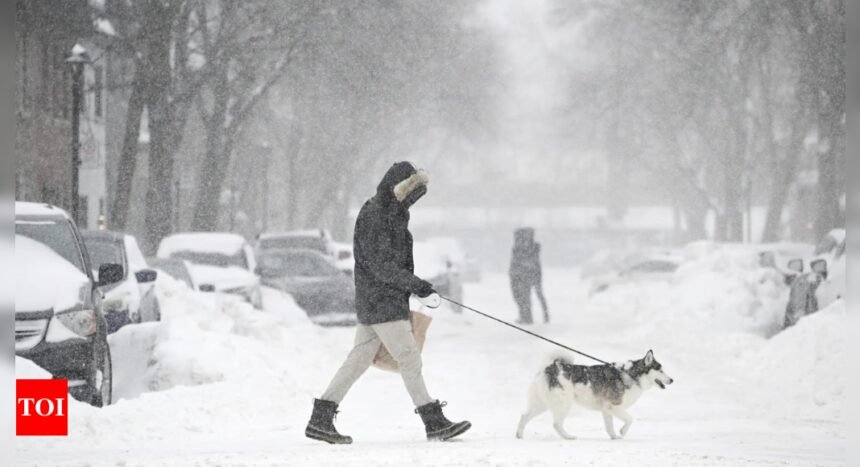 Deadly cold snap grips US as Polar Vortex sends temperatures plummeting