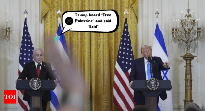 'Donald Trump heard free Palestine and said sold': Social media reacts to Trump saying US will take over the Gaza Strip | World News