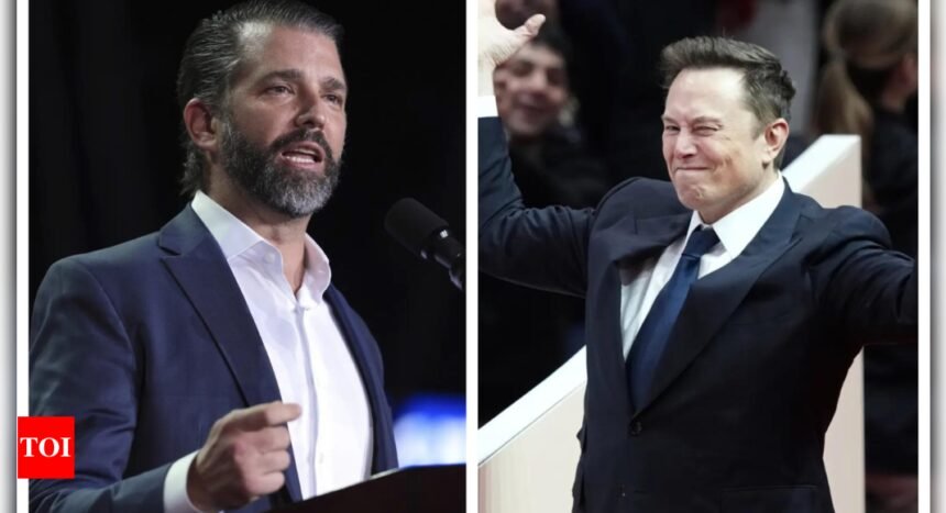 Elon Musk: Donald Trump Jr's 'Soros' reply to 'I didn't vote for Elon Musk': Cry harder