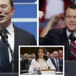 Elon Musk Young Todd Tulsi Gabbard: Did Elon Musk convince GOP senator to vote in favor of Tulsi Gabbard?