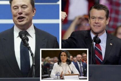 Elon Musk Young Todd Tulsi Gabbard: Did Elon Musk convince GOP senator to vote in favor of Tulsi Gabbard?