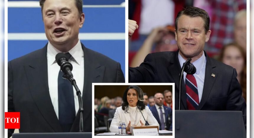Elon Musk Young Todd Tulsi Gabbard: Did Elon Musk convince GOP senator to vote in favor of Tulsi Gabbard?