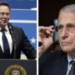 Fauci Museum Exhibit Canceled: Elon Musk cancels Fauci museum exhibit: 'Can you believe your taxpayer dollars...'