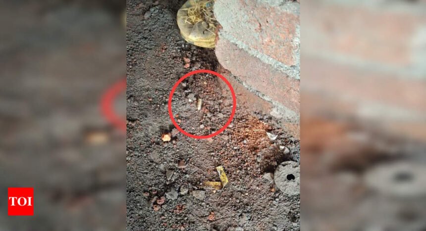 Firing outside construction site, 1 detained | Mumbai News