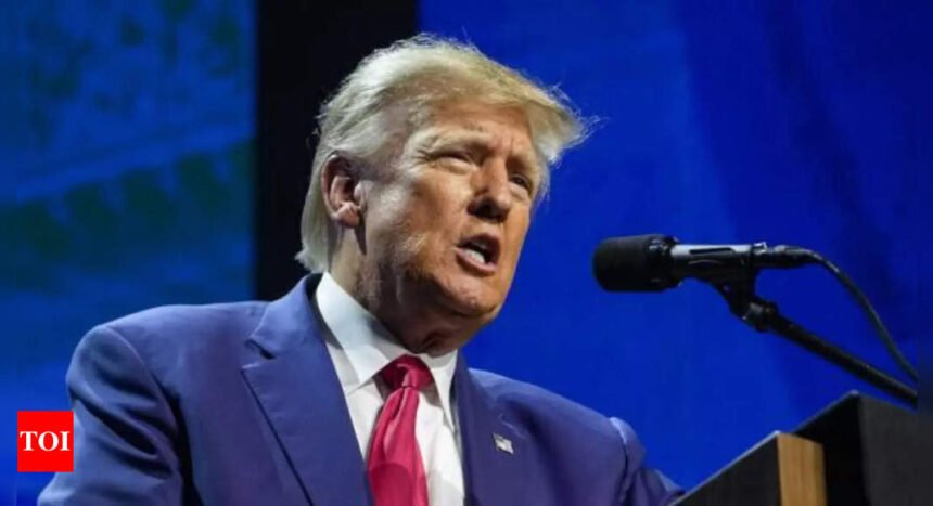 Gaza: The Trump family's Middle East business interests | World News