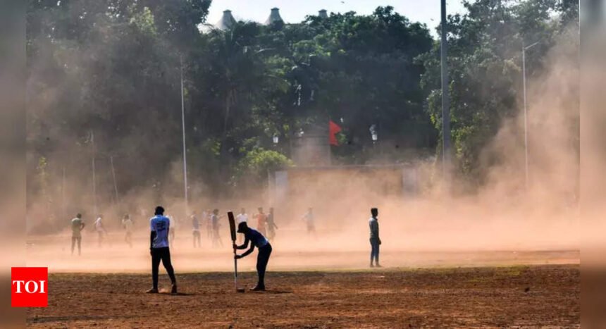 Green lawn to replace red soil at Shivaji Park | Mumbai News