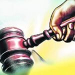 HC stay on felling of 777 trees for widening of state h’way in Dahanu | Mumbai News