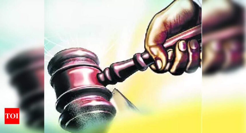 HC stay on felling of 777 trees for widening of state h’way in Dahanu | Mumbai News