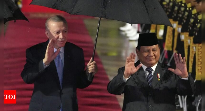 Indonesia's Prabowo, Turkey's Erdogan agree to bolster ties