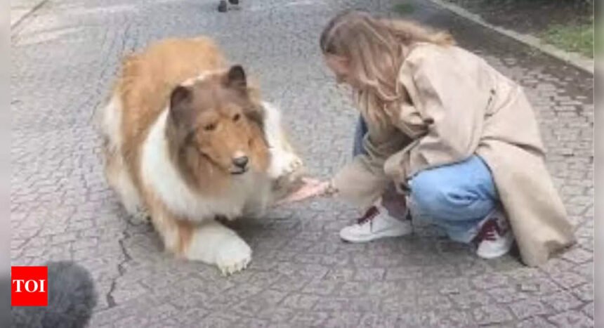 Man who turned into a dog opens zoo