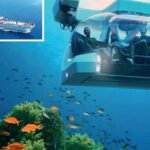 Marine tourism in Maharashtra: Explore wonders of underwater world without scuba gear | Mumbai News