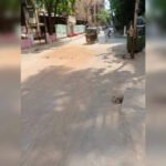 May deadline set for big chunk of CC road works | Mumbai News